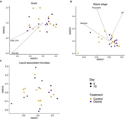 Ozone Decreased Enteric Methane Production by 20% in an in vitro Rumen Fermentation System